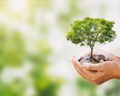 About Us - Economic Development About Us - Economic Development
